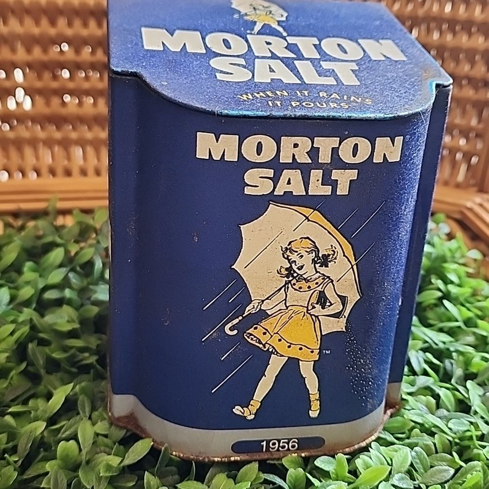 Vintage Hinged Lidded Morton Salt Rusty Container